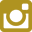 instagram-icon