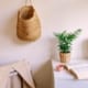 pexels-caeli-team-4509012-1