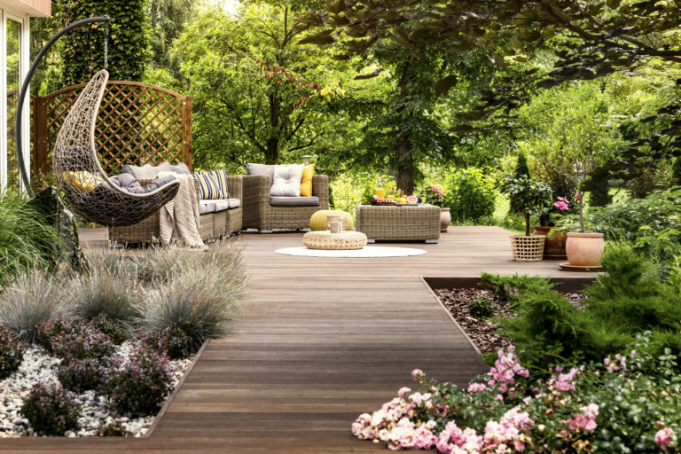 5 plantas decorativas que absorben el agua de lluvia de forma eficiente
