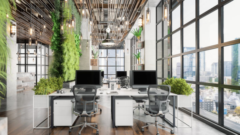 ¿Por qué usar plantas en la oficina?