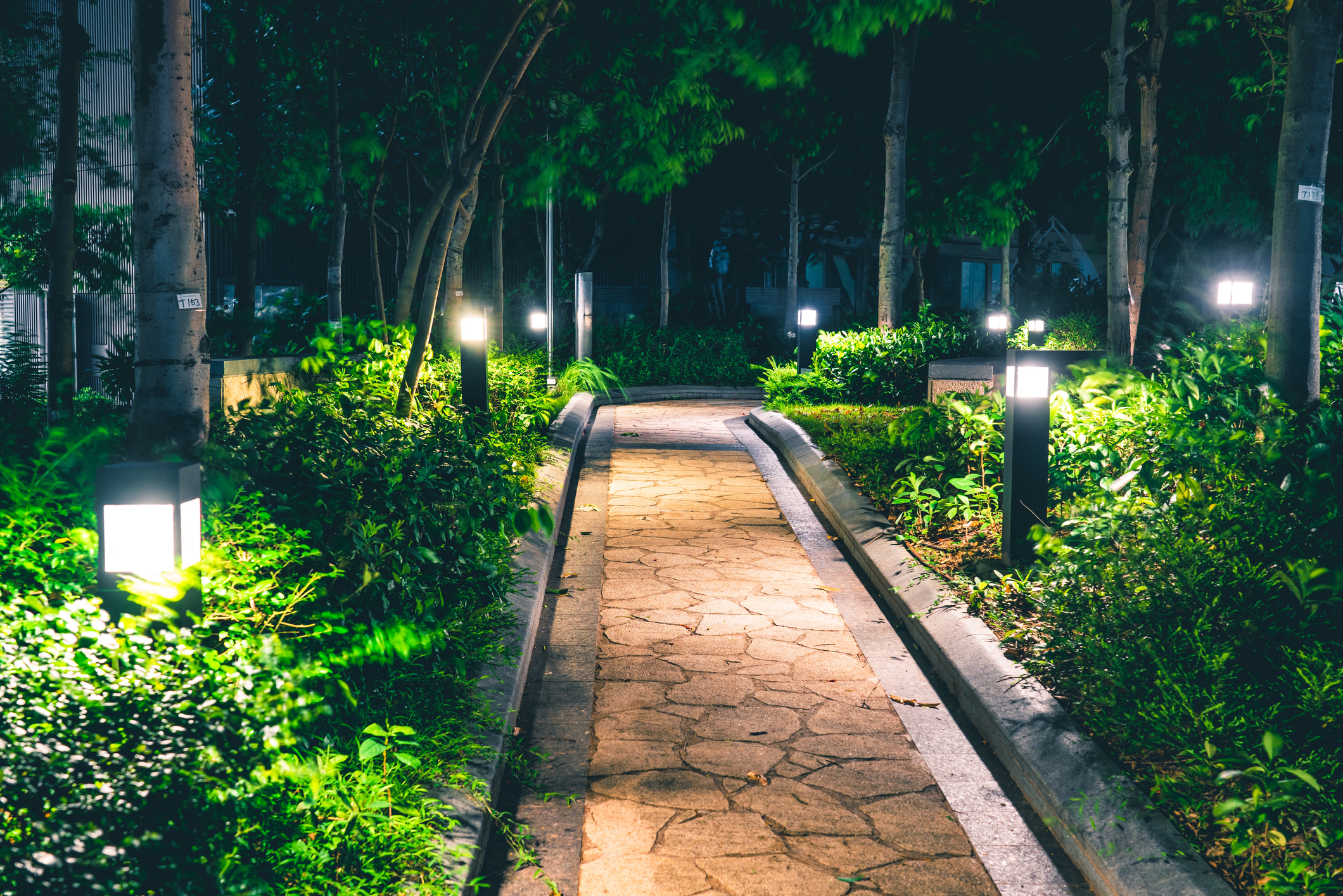 Cómo iluminar el jardín? Tips para mejorar las noches del lugar preferido  de tu casa en verano, Casa & Diseño, La Voz del Interior