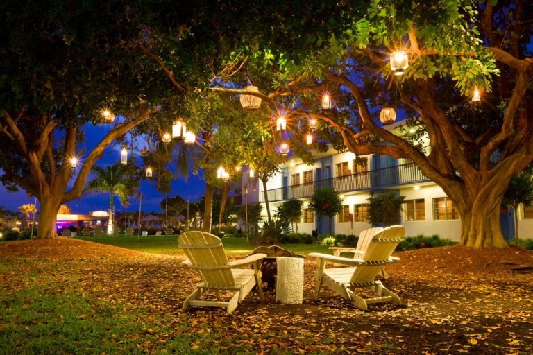 ilumina tu jardín