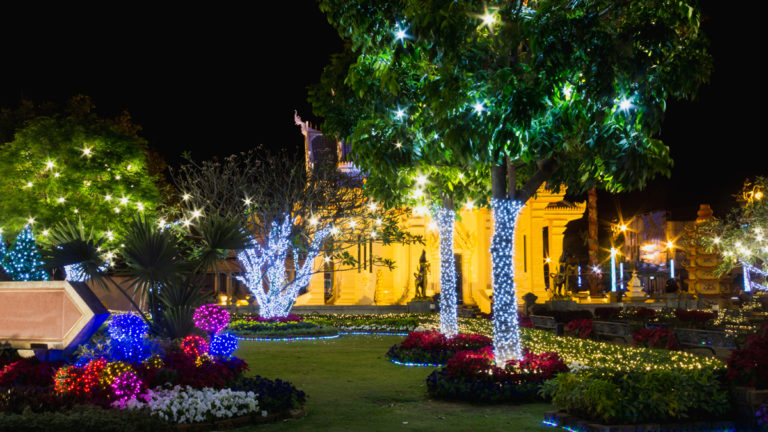 jardín navidad