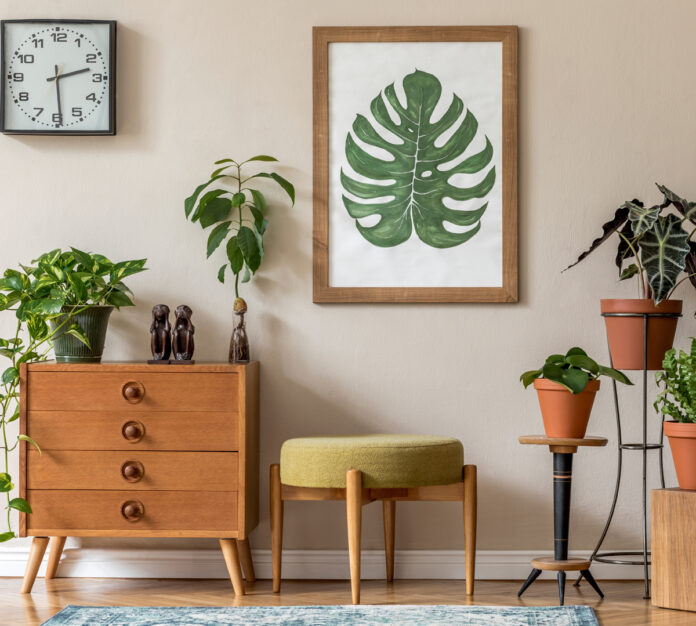 plantas feng shui