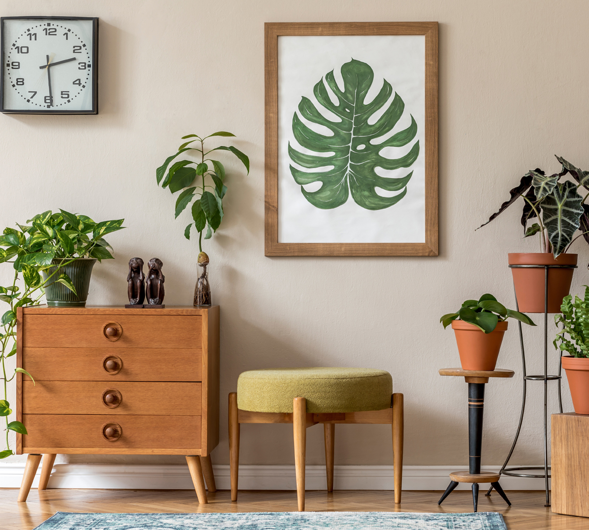 Plantas Para Tener En La Casa Según El Feng Shui