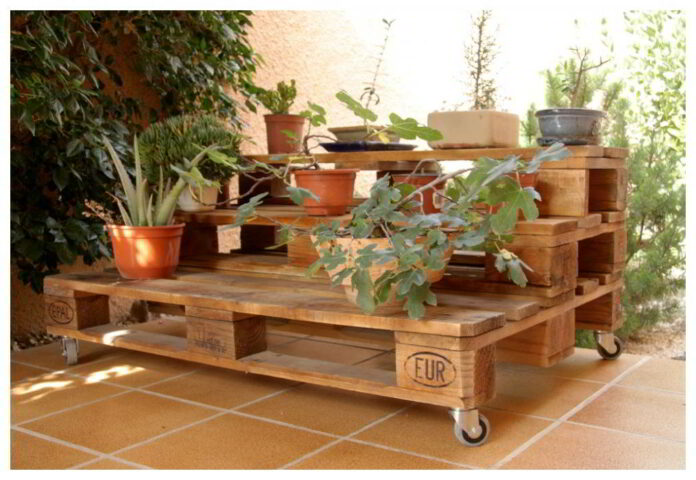decorar-palets-plantas