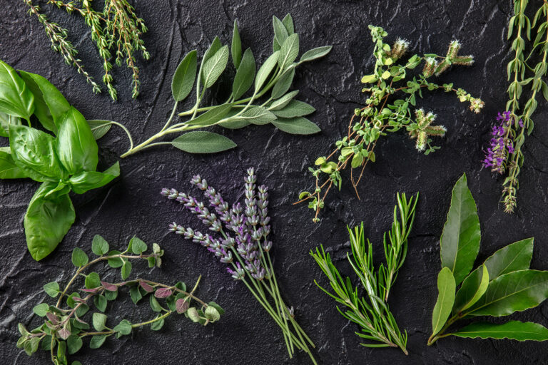 Especias y plantas aromáticas que puedes cultivar en casa