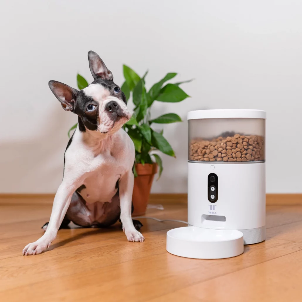 Pet-Friendly
