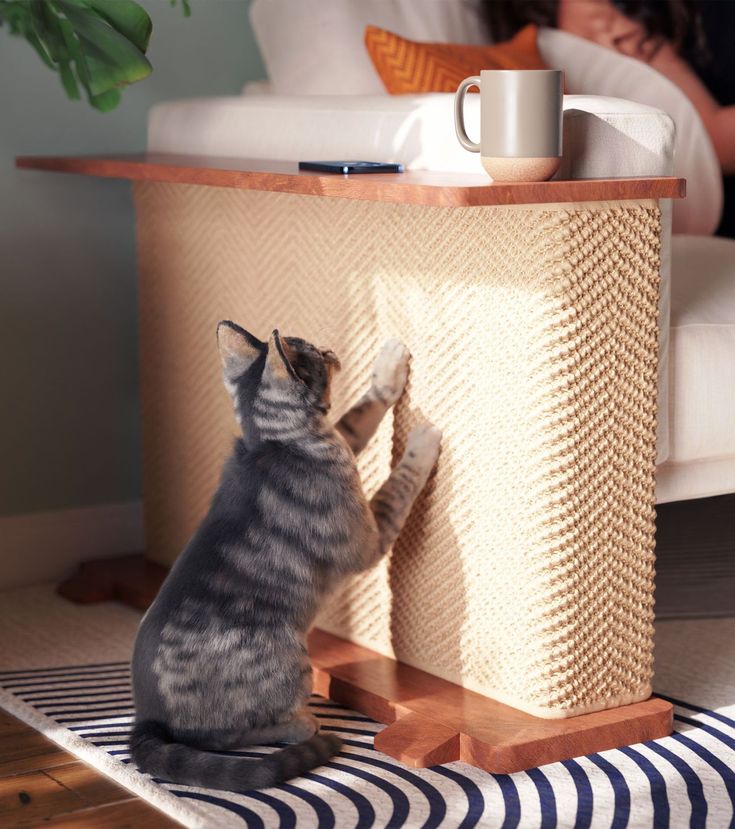 Pet-Friendly