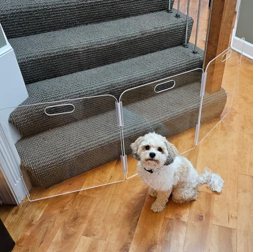 Pet-Friendly