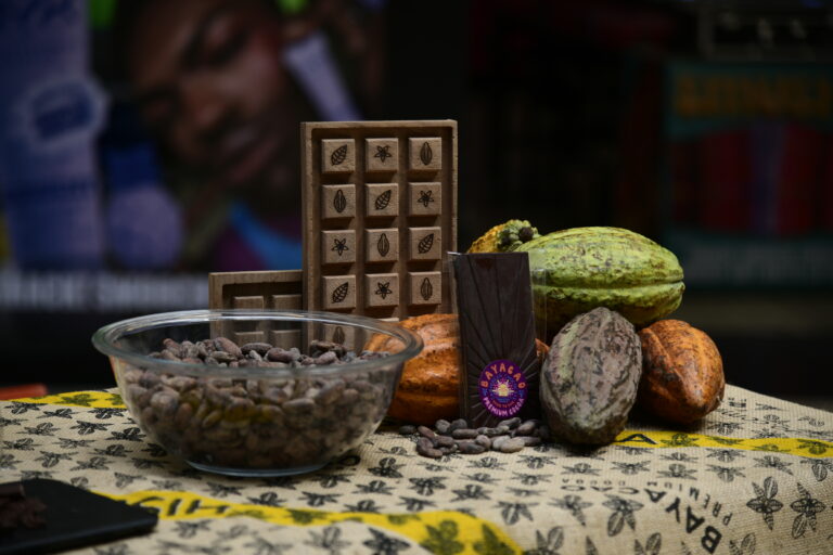 Alma de Cacao: Explorando el 5to Festival del Chocolate