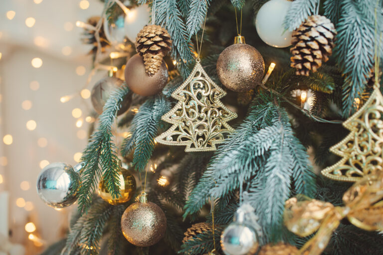El Encanto de la Navidad 2025: Cuando el Bosque se Viste de Glamour